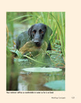 Load image into Gallery viewer, Retriever Madness