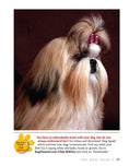 Load image into Gallery viewer, Shih Tzu