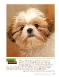 Load image into Gallery viewer, Shih Tzu