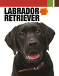 Load image into Gallery viewer, Labrador Retriever