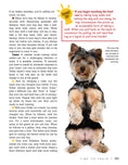 Load image into Gallery viewer, Yorkshire Terrier