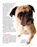 Load image into Gallery viewer, Pug