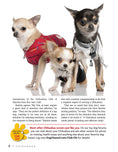 Load image into Gallery viewer, Chihuahua