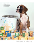 Load image into Gallery viewer, Boxer