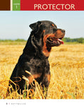 Load image into Gallery viewer, Rottweiler