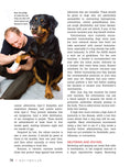 Load image into Gallery viewer, Rottweiler