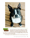 Load image into Gallery viewer, Boston Terrier