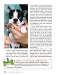 Load image into Gallery viewer, Boston Terrier