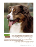 Load image into Gallery viewer, Australian Shepherd Dog