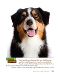 Load image into Gallery viewer, Australian Shepherd Dog