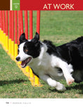 Load image into Gallery viewer, Border Collie | Paperback