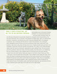 Load image into Gallery viewer, The Rescued Dog Problem Solver