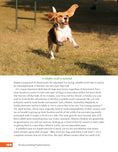 Load image into Gallery viewer, The Rescued Dog Problem Solver