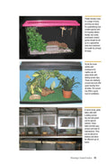 Load image into Gallery viewer, Crested Geckos