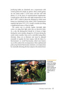 Load image into Gallery viewer, Crested Geckos