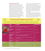 Essential Perennials for Every Garden