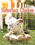 Load image into Gallery viewer, The Suburban Chicken