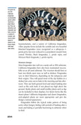 Load image into Gallery viewer, The Art of Keeping Snakes