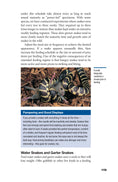 Load image into Gallery viewer, The Art of Keeping Snakes