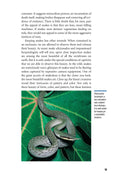 Load image into Gallery viewer, The Art of Keeping Snakes