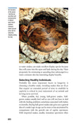 Load image into Gallery viewer, The Art of Keeping Snakes