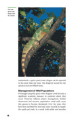 Load image into Gallery viewer, Green Water Dragons