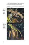 Load image into Gallery viewer, Green Water Dragons