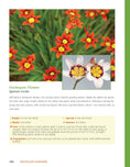 Load image into Gallery viewer, Houseplant Handbook