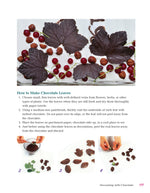 All-in-One Guide to Cake Decorating