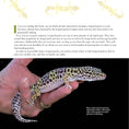 Load image into Gallery viewer, The Leopard Gecko Manual
