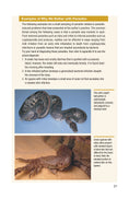 Load image into Gallery viewer, Understanding Reptile Parasites (Advanced Vivarium Systems)