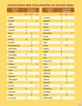 Load image into Gallery viewer, Honey Bee Hobbyist, 2nd Edition