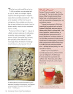 Growing Your Own Tea Garden