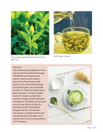 Growing Your Own Tea Garden