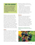 Load image into Gallery viewer, Growing Winter Food