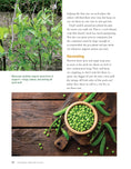 Load image into Gallery viewer, Growing Winter Food