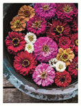 Load image into Gallery viewer, In Bloom