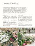 Load image into Gallery viewer, In Bloom