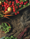 Load image into Gallery viewer, Gardening for Geeks