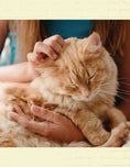 Load image into Gallery viewer, For the Love of Rescue Cats