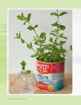 Load image into Gallery viewer, Regrow Your Veggies