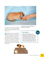 Clicker Training for Rabbits, Guinea Pigs, and Other Small Pets