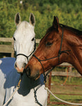 Load image into Gallery viewer, Original Horse Bible, 2nd Edition