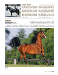 Load image into Gallery viewer, Original Horse Bible, 2nd Edition