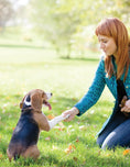Load image into Gallery viewer, Ultimate Guide to Dog Training