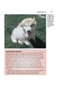 Load image into Gallery viewer, Alaskan Malamute (Comprehensive Owner's Guide)