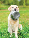 Load image into Gallery viewer, The Ultimate Guide to Dog Care