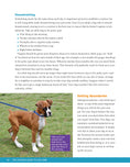 Load image into Gallery viewer, The Ultimate Guide to Dog Care