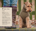 Load image into Gallery viewer, Sweaters for Dogs
