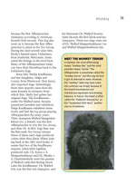 Affenpinscher (Comprehensive Owner's Guide)